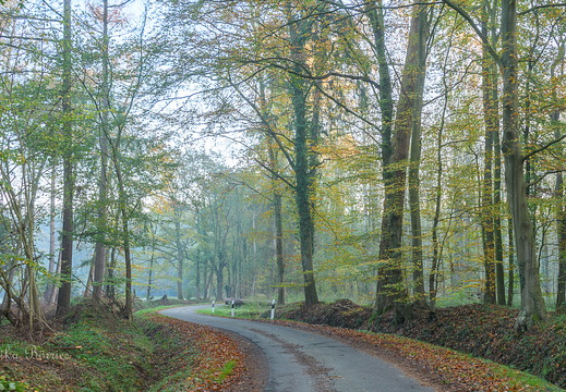 Linsweger Eschweg