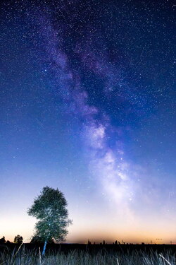 Milchstraße über dem Moor