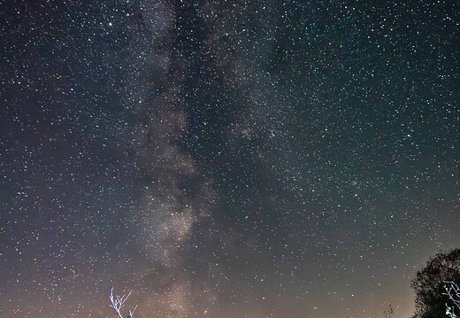 Milchstraße über dem Moor