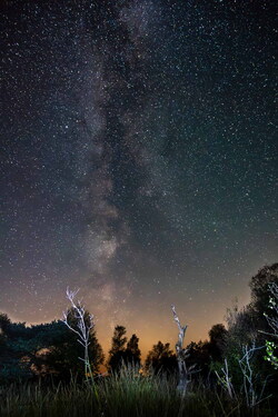 Milchstraße über dem Moor