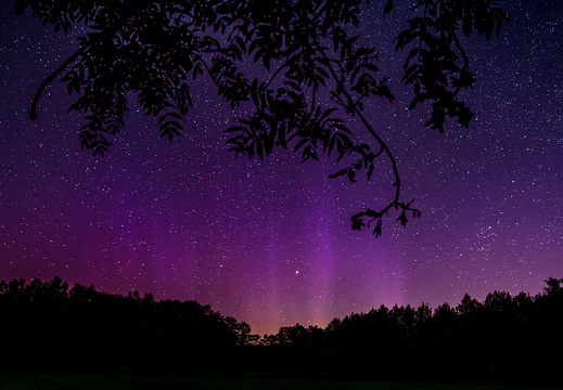 Polarlicht im Ammerland