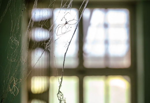 Fliegerhorst Oldenburg