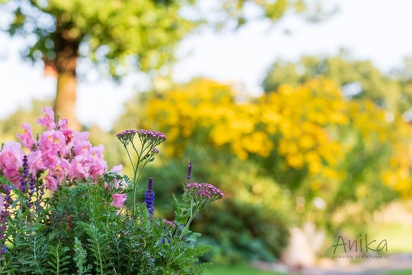 Sommergarten