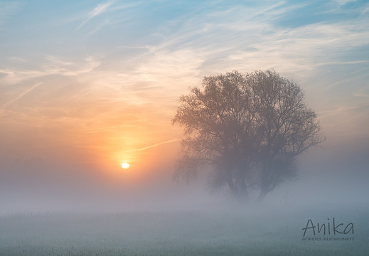 Natur und Landschaft