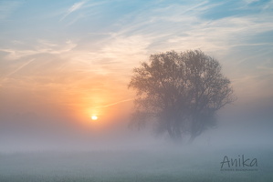 Natur und Landschaft